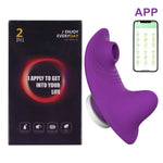 VibeLink Dolphin 🌊💜📱