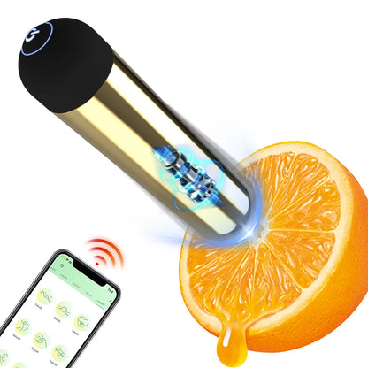 PulseLink Mini 📡🎶📲