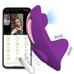 VibeLink Dolphin 🌊💜📱